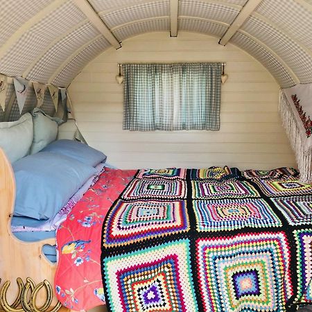 Bowtop Wagon At Lettoch Farm Keith Luaran gambar